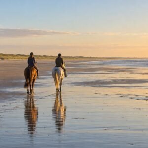Horse ride on the beach (1 h)