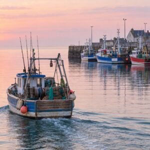Sea fishing trip with a Grandcamp fisherman (half day)